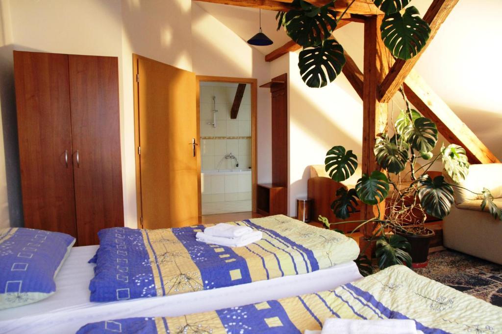 Penzion Brahama Presov Room photo